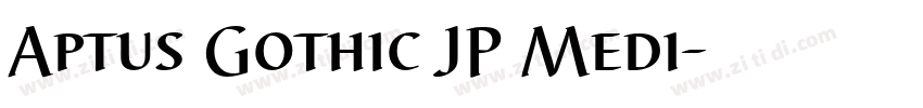 Aptus Gothic JP Medi字体转换